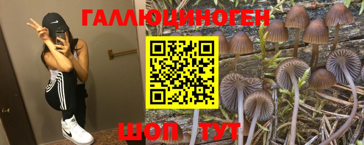 Псилоцибиновые грибы мухоморы  Вход с VPN  Белая Калитва  Псилоцибиновые грибы MAGIC MUSHROOMS 